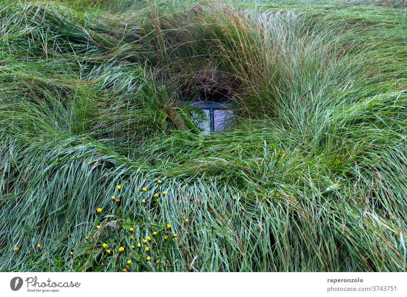 Fenster in einem Grassodenhaus in Island klein grün Haus zugewachsen Behausung alternativ organisch nachhaltig Baumaterial Erdhaus Hütte