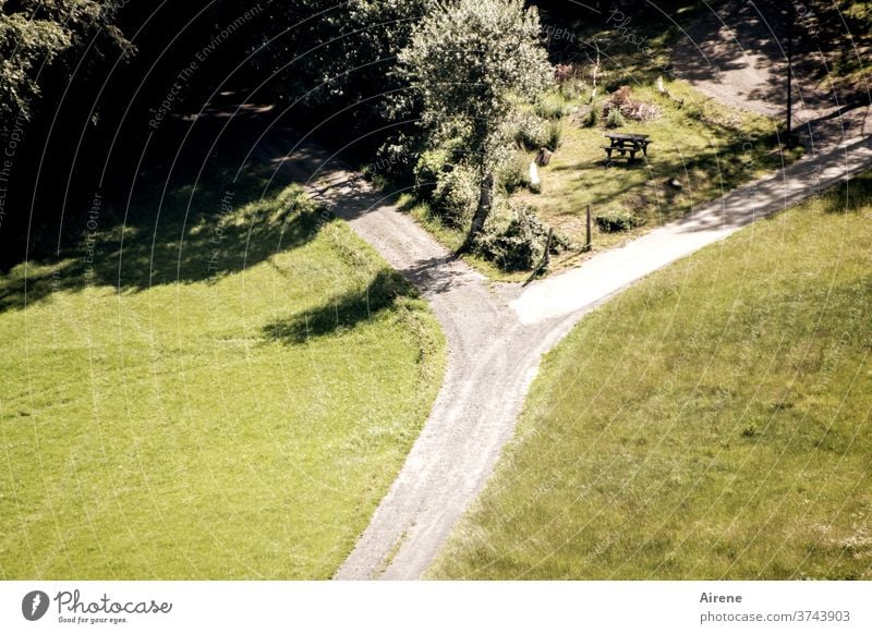 Scheideweg Wege & Pfade Entscheidung Problemlösung wandern grün Wegkreuzung Straßenkreuzung Feld Wiese Baum Sommer Landschaft Vogelperspektive Gabelung