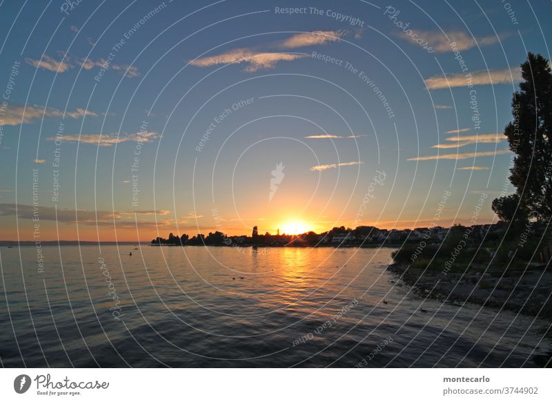 dynamisch | wasser und sonnenuntergang in immenstaad am Bodensee Sky Contrast Landscape Romantik Sonnenuntergang genießen ocean Landschaft Himmel Umwelt Natur