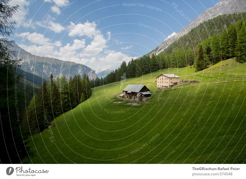 Traumalp Umwelt Natur Landschaft blau braun mehrfarbig grau grün weiß Engadin Haus Alm Weide Gastronomie Wald Waldlichtung Bergen Wolken Himmel (Jenseits)