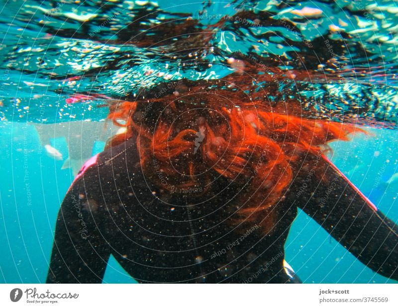 mit roten Haaren im blauen Wasser Schwimmen & Baden Tauchanzug Wasseroberfläche Pazifik Unterwasseraufnahme verwuschelt langhaarig rothaarig Neoprenanzug