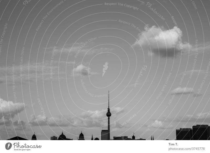 Skyline Berlin black/white Monochrom Himmel Schwarzweißfoto schwarz Außenaufnahme Berliner Fernsehturm Stadt Hauptstadt Wahrzeichen Sehenswürdigkeit