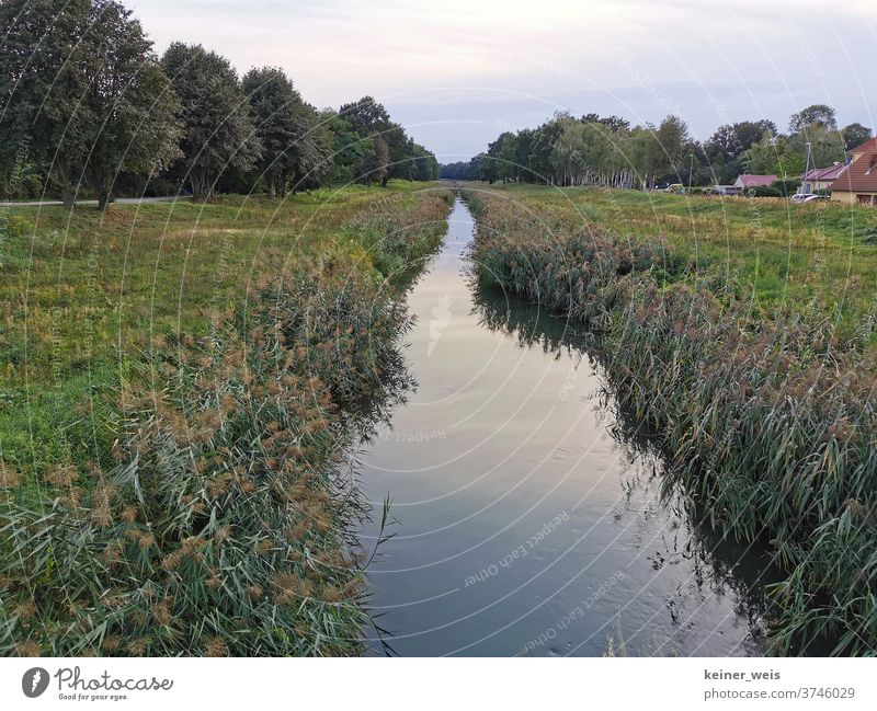 Der Fluss Schwarze Elster bei Senftenberg in der Gartenstadt Marga in Brandenburg Lausitz Senftenberger See sorbisch Lausitzer Seenland Wasser Kanal Stadtrand