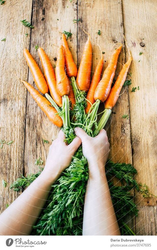 Frische Möhren mit grünen Blättern frisch Gesundheit Hintergrund Ernährung Lebensmittel roh Bestandteil organisch Diät Vegetarier Gemüse Haufen Nahaufnahme