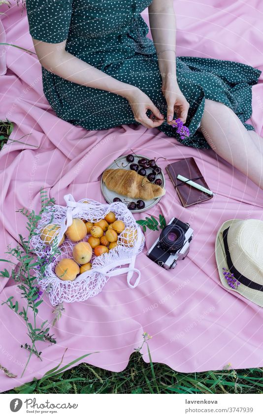 Gesichtsloses Porträt einer Frau in grünem Kleid auf einer rosa Decke auf einem Gras, mit frischen Früchten, Beeren und Gebäck im Freien allein Aprikosen