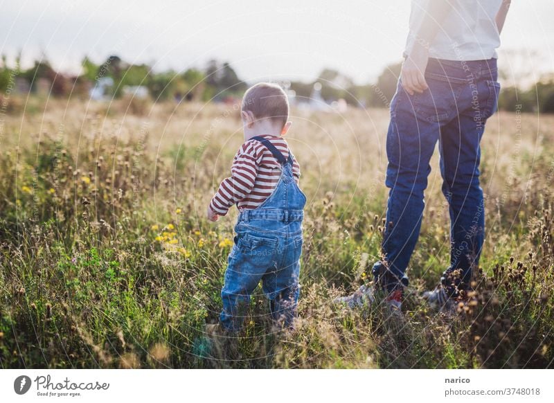 Vater und Sohn stehen auf einer Wiese bei Sonnenuntergang Kleinkind Sonnenlicht Latzhose Familie & Verwandtschaft Mann Kind Außenaufnahme Farbfoto Zusammensein