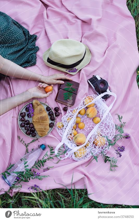 Frauenhände halten Aprikosenfrüchte auf einer rosa Decke auf einem Gras, mit frischen Früchten, Beeren und Gebäck im Freien Picknick Hände Frucht gesichtslos