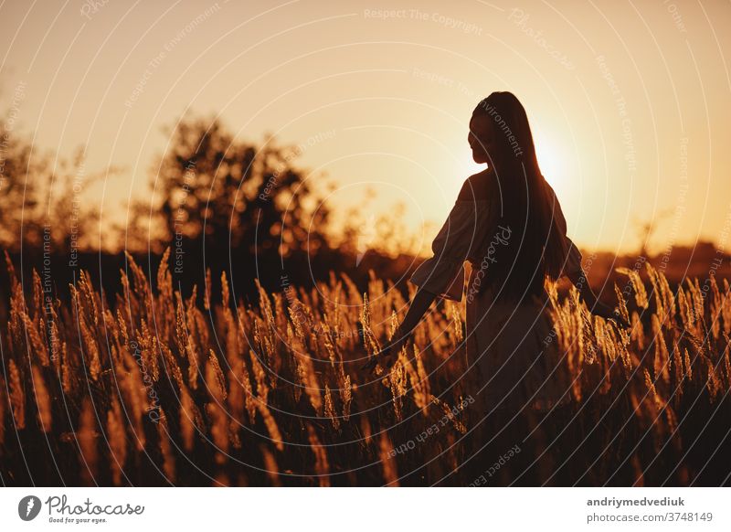 Junge Frau Mädchen im Feld bei Sonnenuntergang im Frühling, Sommerlandschaft im Hintergrund Frühling Sommerzeit. Schöne lächelnde Frau auf einem Feld bei Sonnenuntergang. selektiver Fokus