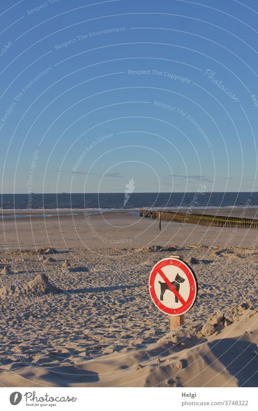 Verbot für Hunde - Verbotsschild im Sonnenlicht am Strand der Nordseeinsel mit Meer und blauem Himmel Sand Küste Insel Abendsonne Licht Schatten Außenaufnahme