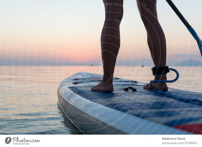 Unkenntlich weibliche Surfer auf Paddleboard bei Sonnenuntergang Paddelbrett Reihe Frau MEER Sommer Training Surfbrett Zusatzplatine Holzplatte sportlich stehen