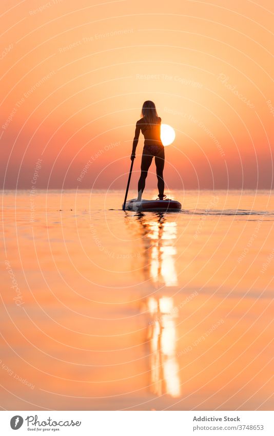 Anonyme Frau übt auf Paddleboard bei Sonnenuntergang Paddelbrett Surfer Zusatzplatine Silhouette Reihe MEER Training Surfbrett Sommer Holzplatte sportlich