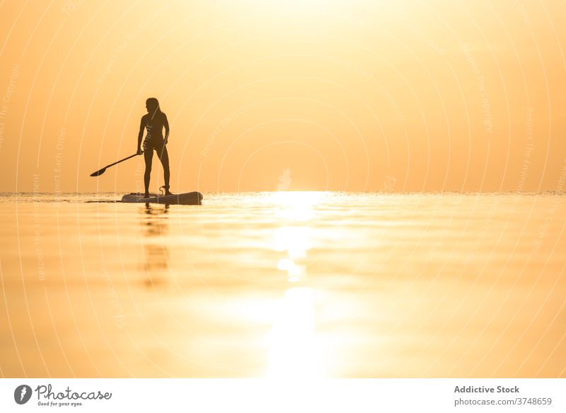 Anonyme Frau übt auf Paddleboard bei Sonnenuntergang Paddelbrett Surfer Zusatzplatine Silhouette Reihe MEER Training Surfbrett Sommer Holzplatte sportlich