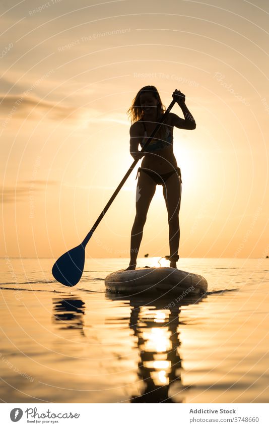 Anonyme Frau übt auf Paddleboard bei Sonnenuntergang Paddelbrett Surfer Zusatzplatine Silhouette Reihe MEER Training Surfbrett Sommer Holzplatte sportlich