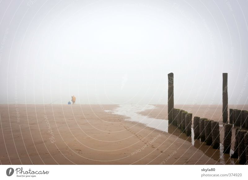 Frühaufsteher Strand Meer Küste flach Ferien & Urlaub & Reisen Erholung Sand glänzend Glück Freiheit Nordsee Wattenmeer Ebbe Sandstrand Ferne Horizont Fischer