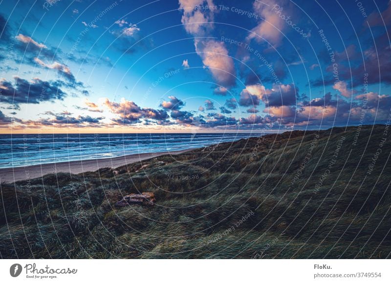 Sonnenuntergang an der Jammerbucht Strand Nordsee Küste natur landschaft nordseeküste dünen dünengras sommer urlaub erholung reise dänemark europa meer sand