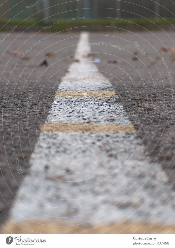 Weiße Linie Fahrbahn Radolfzell Asphalt Teer Verkehr Schulhof Straße weiße Linie weißer Strich Friedrich Hecker Gymnasium