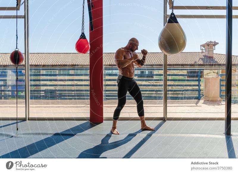 Gezieltes Sportlertraining mit Boxsack im Fitnessstudio Bowle Tasche Boxsport Boxer Mann Bestimmen Sie Kämpfer Training intensiv Handschuh männlich Athlet Kraft