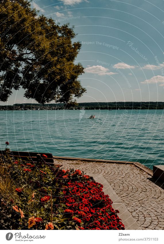 Motorboot auf dem Bodensee schiffahrt bodensee gewässer natur landschaft sträucher blumen pflanzen sommer stimmung wärme urlaub sport reisen himmel wasser