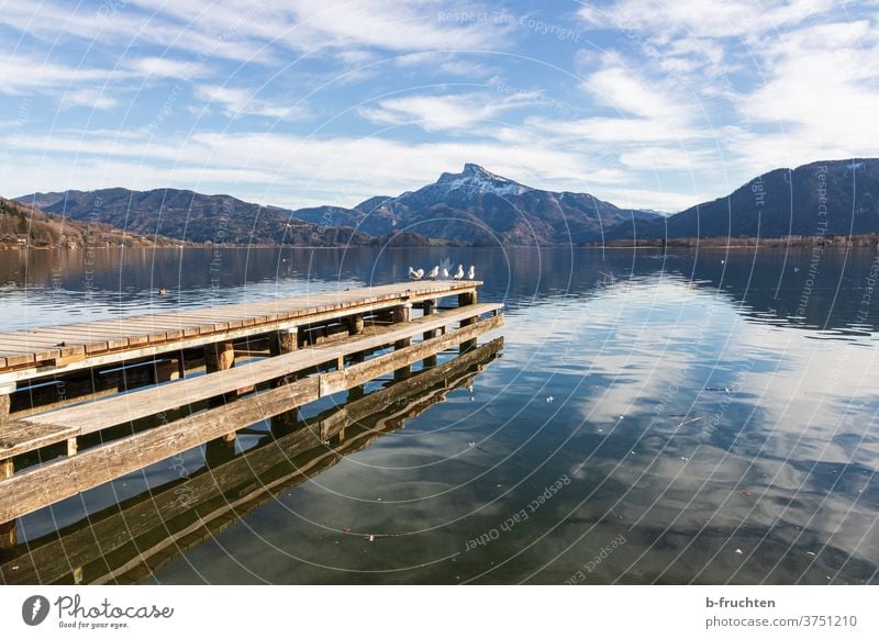 Vögel am Ende des Steges, Mondsee, Österreich Berge u. Gebirge Wolken Himmel Alpen blau Landschaft Natur See Seeufer vögel Salzkammergut Schönes Wetter