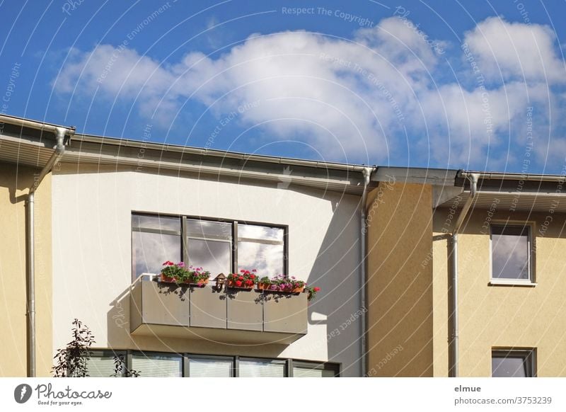 Blumen und Vogelhäuschen schmücken den Balkon vor dem großen Fenster des weißen Reihenhauses und die Schönwetterwolken spiegeln sich in den Glasscheiben wohnen