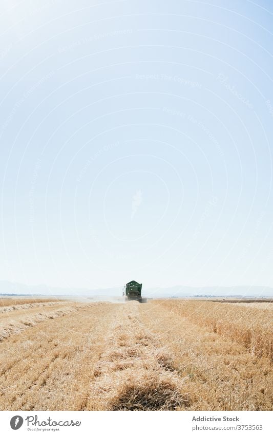 Landwirtschaftliche Maschine im Feld im Sommer Ernte Mähdrescher abholen Weizen Landschaft Bauernhof Ackerbau Saison ländlich Natur Wiese Ackerland Umwelt