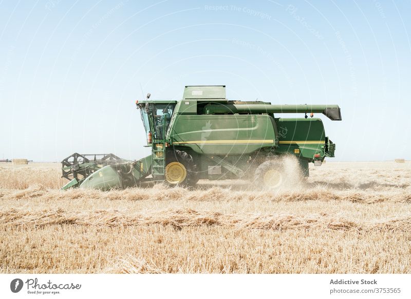 Landwirtschaftliche Maschine im Feld im Sommer Ernte Mähdrescher abholen Weizen Landschaft Bauernhof Ackerbau Saison ländlich Natur Wiese Ackerland Umwelt