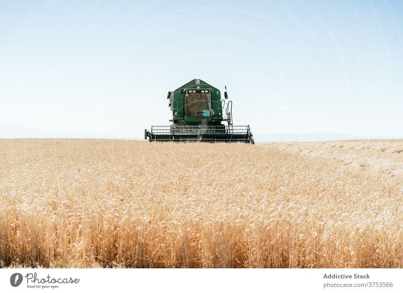 Landwirtschaftliche Maschine im Feld im Sommer Ernte Mähdrescher abholen Weizen Landschaft Bauernhof Ackerbau Saison ländlich Natur Wiese Ackerland Umwelt