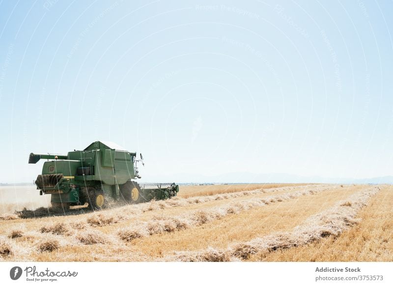 Landwirtschaftliche Maschine im Feld im Sommer Ernte Mähdrescher abholen Weizen Landschaft Bauernhof Ackerbau Saison ländlich Natur Wiese Ackerland Umwelt