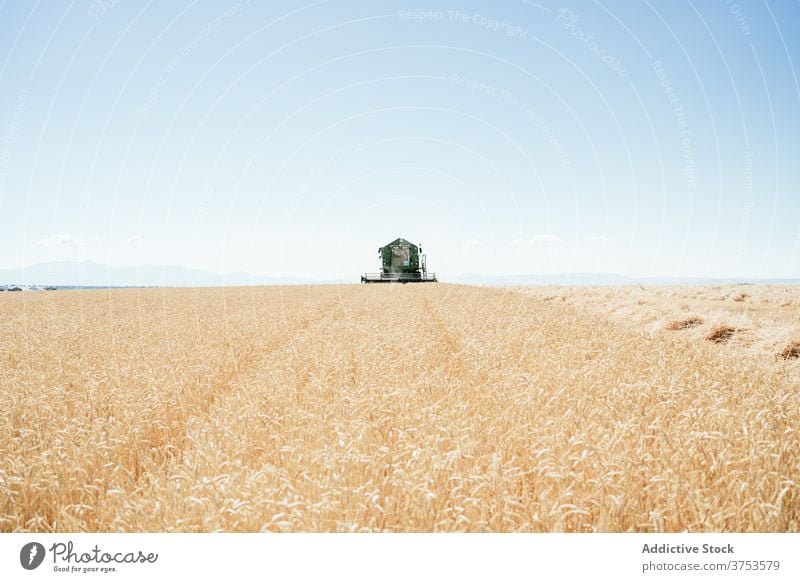 Landwirtschaftliche Maschine im Feld im Sommer Ernte Mähdrescher abholen Weizen Landschaft Bauernhof Ackerbau Saison ländlich Natur Wiese Ackerland Umwelt