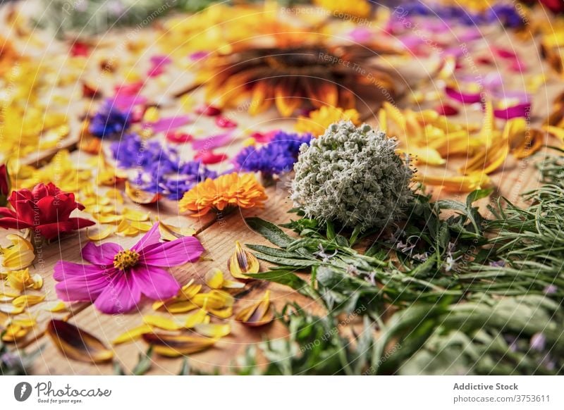 Bunte Blumen auf Holztisch geblümt Zusammensetzung Blütenknospen Blütenblatt Ordnung filigran hölzern Pflanze Tisch Farbe sortiert frisch natürlich hell