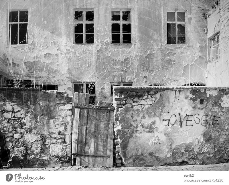 Gentrifizierung Haus Fassade Abriss Mauerreste Fenster Abbau Tageslicht menschenleer Außenaufnahme Gebäude Wand Vergänglichkeit Stein Ruine kaputt Zerstörung