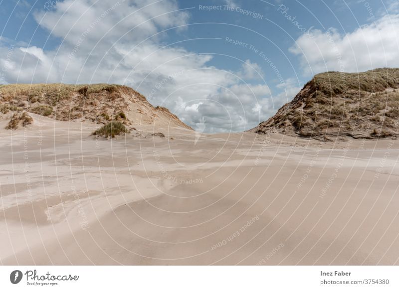 Sanddünen am Strand bei blauem Himmel mit Wolken, Terschelling, Niederlande Dunes Dünen am Strand malerisch Natur Naturlandschaft Naturhintergrund Europäer