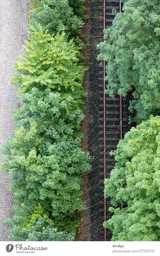 Bahnstrecke, gesäumt von belaubten Bäumen, Gleise, Vogelperspektive, Schienenverkehr, Zugstrecke Deutsche Bundesbahn Schienenstrecke grün Umweltfreundlich