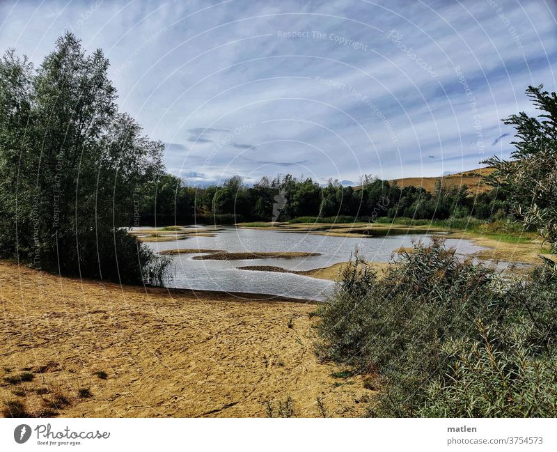 austrockender See mobil Biotop austrocknen Sand Baum Himmel Sanddorn menschenleer Arkanberge Trockenheit Wolken