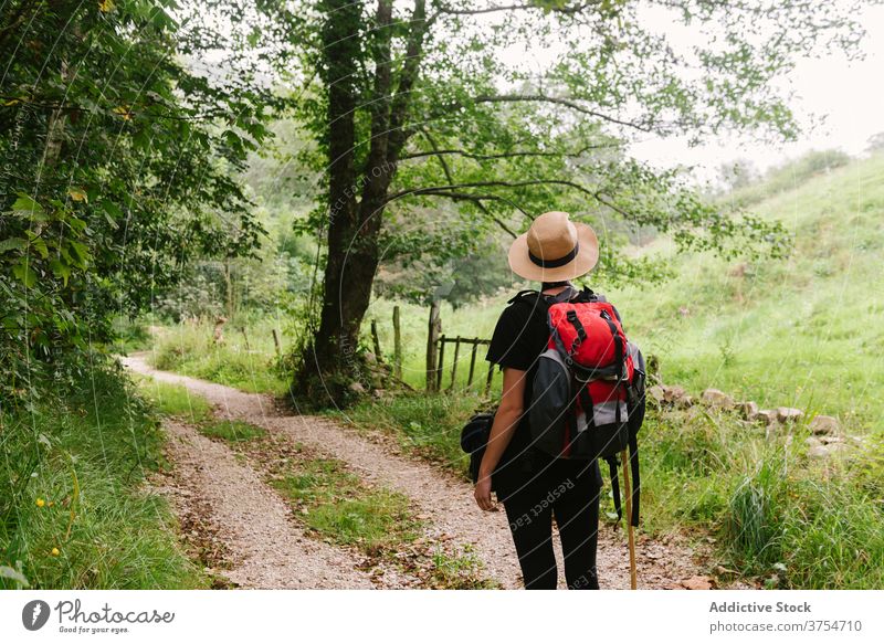 Reisender stehend auf Weg im Wald Tourist Rucksack Nachlauf reisen Wälder Natur Urlaub Abenteuer Hut Spaziergang Feiertag Sommer Aktivität Trekking Freiheit