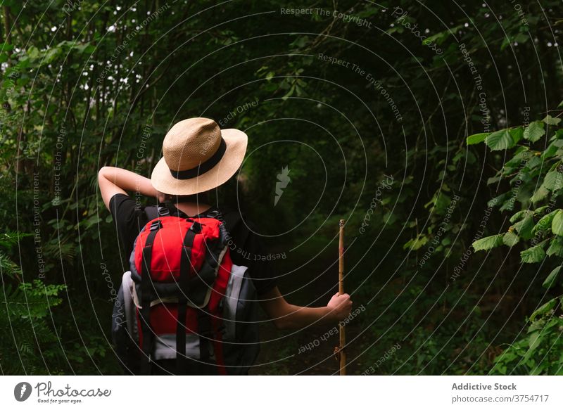 Unerkennbar reisende Frau im Wald Tourist dunkel Urlaub Sommer Nachlauf Wälder Rucksack Natur Ausflug Reisender stehen Freiheit Trekking Aktivität Fernweh