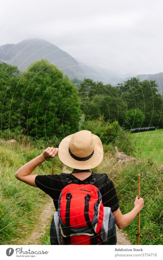 Reisender stehend auf Weg im Wald Tourist Rucksack Nachlauf reisen Wälder Natur Urlaub Abenteuer Hut Spaziergang Feiertag Sommer Aktivität Trekking Freiheit