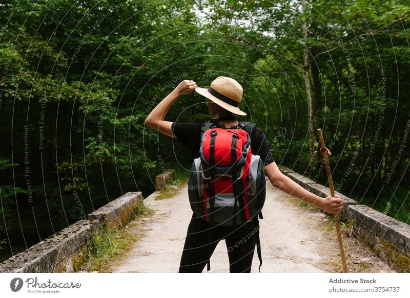 Unbekannter Reisender auf Steinbrücke im Wald Brücke erkunden Urlaub Sommer sich[Akk] entspannen bewundern Natur Tourist Rucksack hölzern kleben schäbig