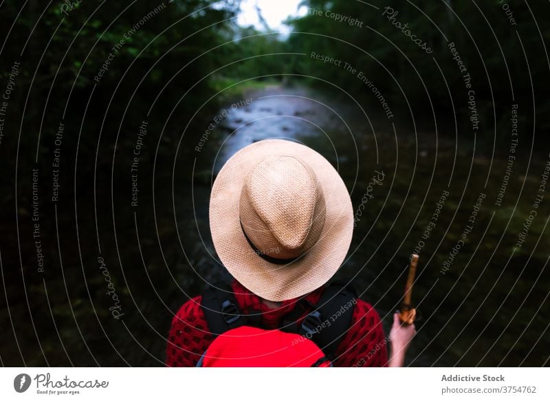 Unbekannter Reisender mit Holzstock im Wald Wanderer reisen Fernweh dunkel Abend Rucksack Sommer Abenteuer Urlaub Nachlauf erkunden Natur Tourismus Freiheit