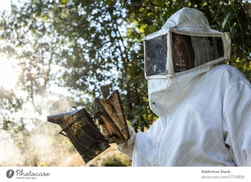 Imker mit Smoker bei der Arbeit am Bienenstand Raucherin Gerät Werkzeug Bienenstock ausräuchern Bienenkorb erwärmen professionell Handschuh Job Prozess manuell