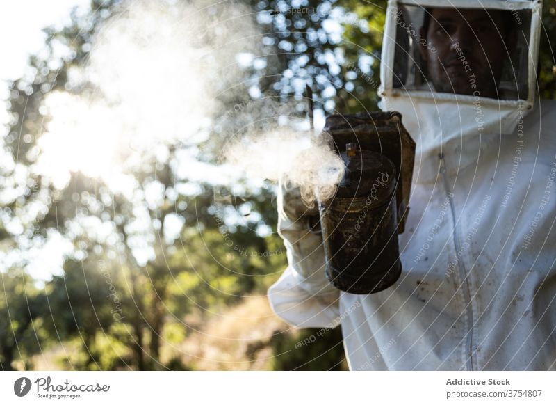 Imker mit Smoker bei der Arbeit am Bienenstand Raucherin Gerät Werkzeug Bienenstock ausräuchern Bienenkorb erwärmen professionell Handschuh Job Prozess manuell