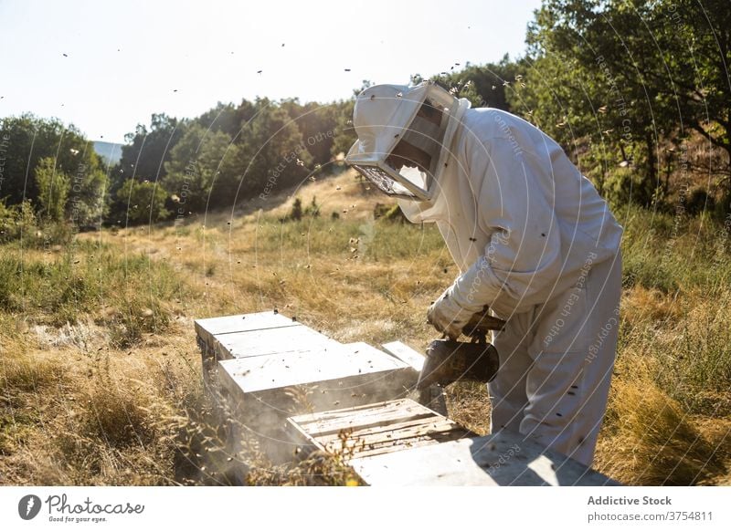 Imker mit Smoker bei der Arbeit am Bienenstand Raucherin Gerät Werkzeug Bienenstock ausräuchern Bienenkorb erwärmen professionell Handschuh Job Prozess manuell