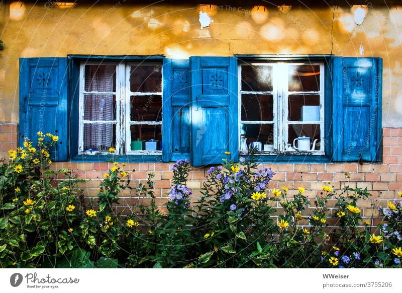 Altes gelbes Haus mit blauen Fensterläden und vielen Blumen Fassade Vorgarten wild blühen Lichtflecken Sonne Fensterrahemn alt Geschirr Zimmer Einblick Risse