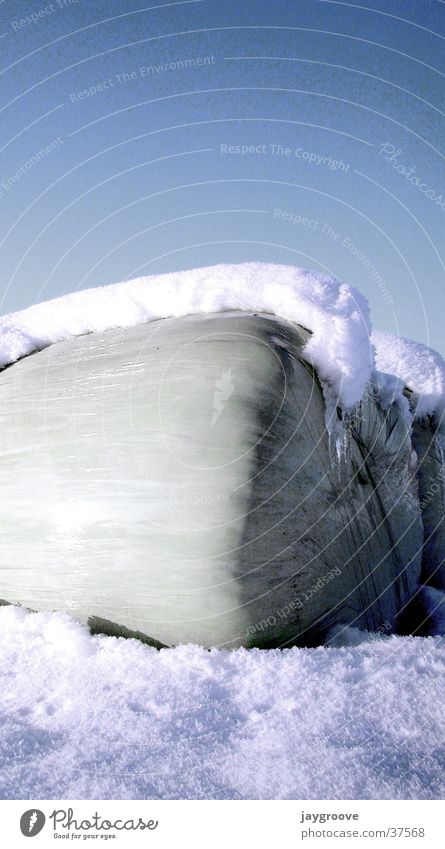 siloballen im schnee Winter Silo Schnee Siloballen Himmel Eis