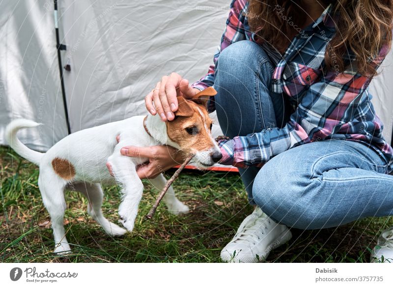 Frau mit Jack-Russell-Terrier-Welpen im Freien. Beziehungen und Tierpflegekonzept Hund Haustier Besitzer Glück niedlich Freundschaft Spielen Lifestyle Spaß Gras