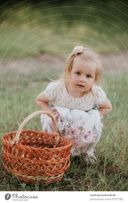 ein kleines süßes Mädchen mit einem Korb genießt einen sonnigen Tag im Park Kind Glück Baby Porträt Spielen Fröhlichkeit schön offen sorgenfrei heiter Kindheit