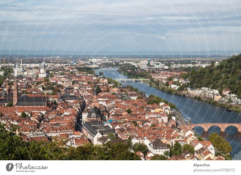 alles in HD Heidelberg Außenaufnahme Farbfoto Menschenleer Tag Altstadt Brücken Historische Bauten historischer stadtteil Stadtzentrum Gebäude Architektur