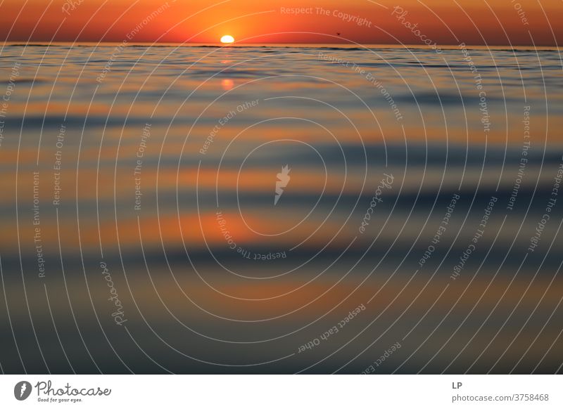 Sonnenuntergang in der Nordsee Sonnenuntergangshimmel Zufriedenheit Glück Wasser sensationell orange Naturliebe Paradies Gefühle Insel exotisch Prima Himmel