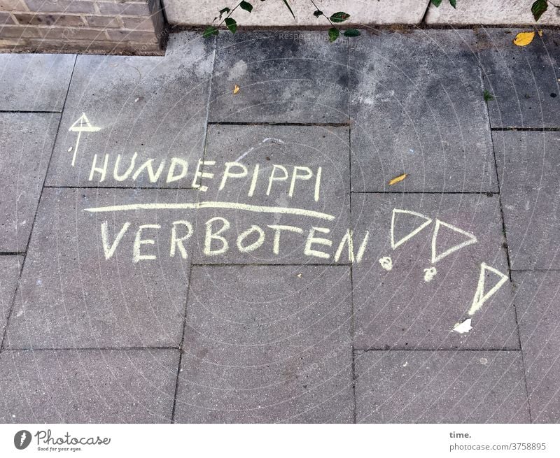 Ansage (2) straße urin hundeklo Gassi gehen kreide schriftzug buchstaben hauswand bürgersteig urban verbot ärger warnung hinweis ausrufezeichen