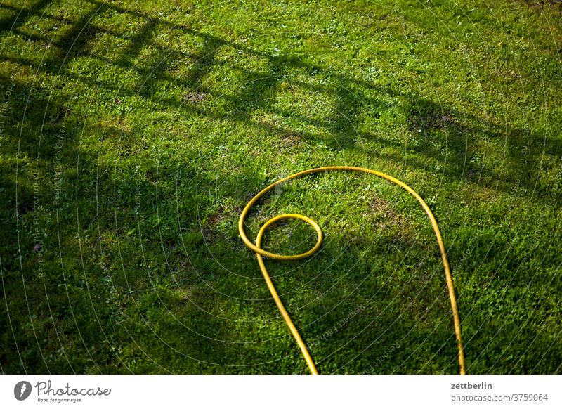 Gartenschlauch und Leiterschatten ast baum blume blühen blüte erholung ferien garten gras himmel kleingarten kleingartenkolonie menschenleer natur pflanze rasen